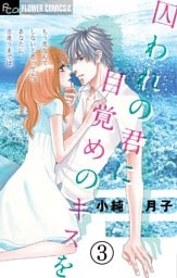 囚われの君に 目覚めのキスを【マイクロ】（３）