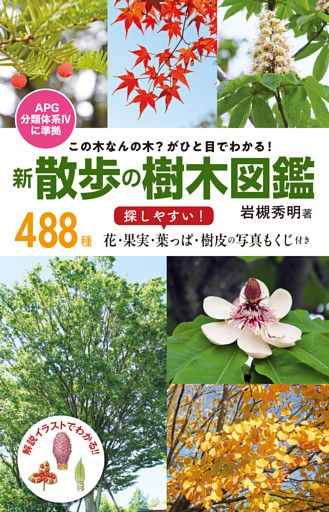 この木なんの木？ がひと目でわかる！　新 散歩の樹木図鑑