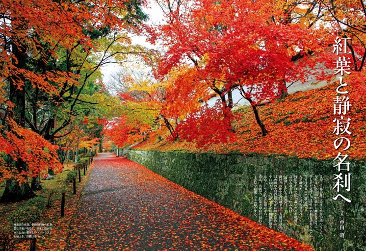 紅葉と静寂の名刹へ