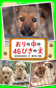 おりの中の４６ぴきの犬