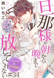 旦那様が朝から晩まで放してくれない～エッチで甘いワケあり婚