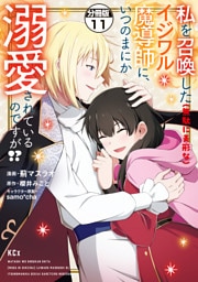 私を召喚した（無駄に美形な）イジワル魔導師に、いつのまにか溺愛されているのですが！？　分冊版（１１）
