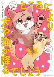 ところにより犬や猫が降るでしょう