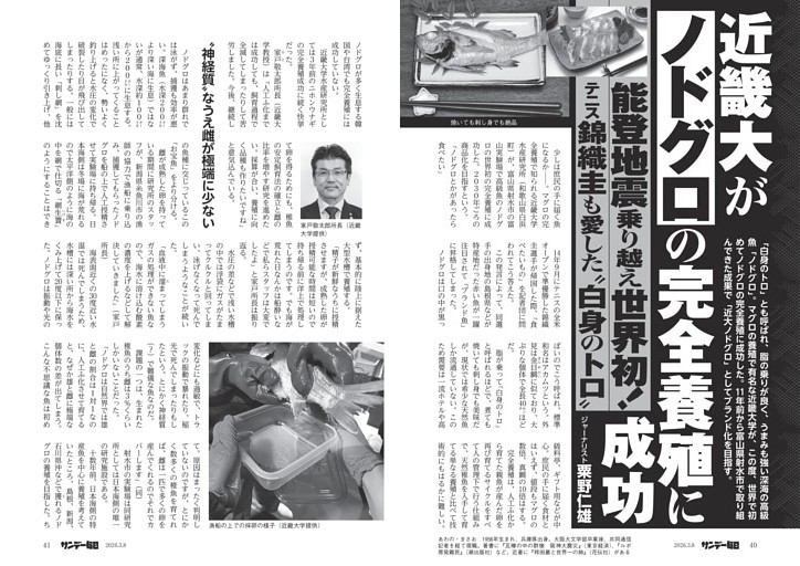 〔ノドグロ〕近畿大がノドグロの完全養殖に成功　能登地震乗り越え世界初！　テニス・錦織圭も愛した“白身のトロ”