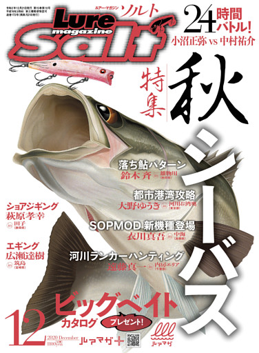 ルアーマガジンソルト2020年12月号
