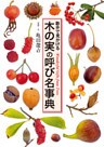 木の実の呼び名事典 散歩で見かける