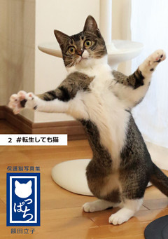 保護猫写真集 ねこっぱち！ (2) #転生しても猫