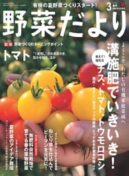野菜だより 2026年3月号