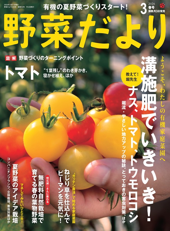 野菜だより 2026年3月号