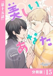 美しいあなた【分冊版】15（ビアンココミックス）