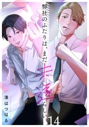 弊社のふたりは、まだ未遂らしい。１４