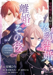 宰相補佐と黒騎士の契約結婚と離婚とその後1 ～辺境の地で二人は夫婦をやり直す～【電子特典付き】