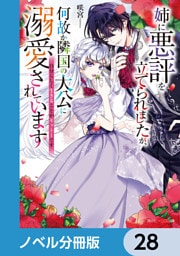 姉に悪評を立てられましたが、何故か隣国の大公に溺愛されています【ノベル分冊版】　28