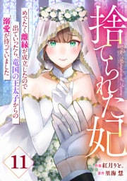 Berry’sFantasy捨てられた妃　めでたく離縁が成立したので出ていったら、竜国の王太子からの溺愛が待っていました11巻