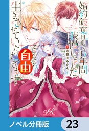 婚約破棄目前で6年間我慢しました【ノベル分冊版】　23