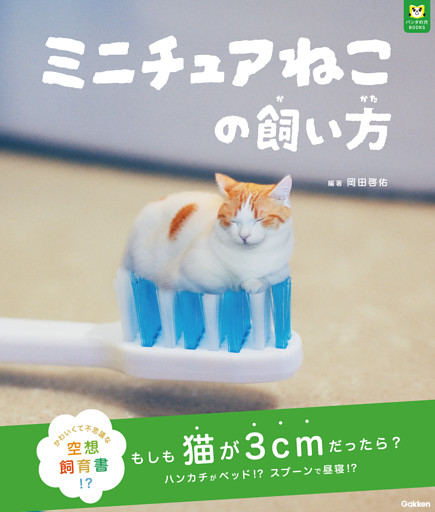 パンダの穴BOOKS ミニチュアねこの飼い方