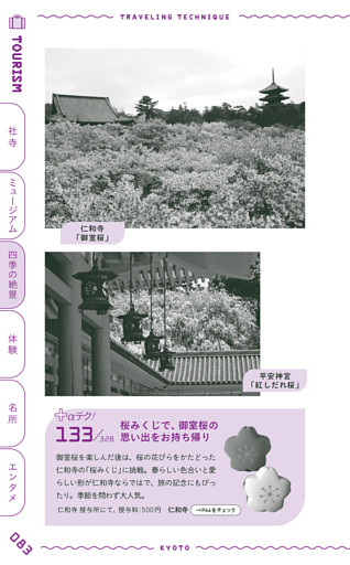 ●桜みくじで、御室桜の思い出をお持ち帰り