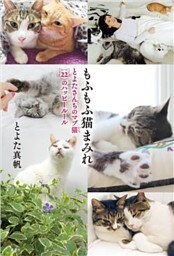 もふもふ猫まみれ　とよたさんちのマブ猫　２２のハッピールール