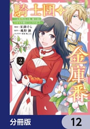 騎士団の金庫番 ～元経理ОＬの私、騎士団のお財布を握ることになりました～【分冊版】　12