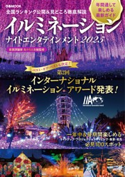 イルミネーションナイトエンタテインメント2025 表紙