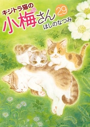 キジトラ猫の小梅さん（29）