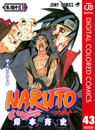NARUTO―ナルト― カラー版 43