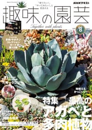 ＮＨＫ 趣味の園芸2026年8月号