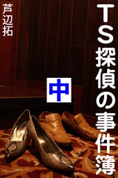 TS探偵の事件簿　中　アリバイは空の彼方に
