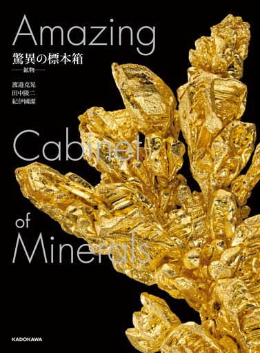 驚異の標本箱　‐鉱物‐