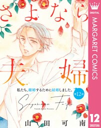 【単話売】さよなら夫婦 12