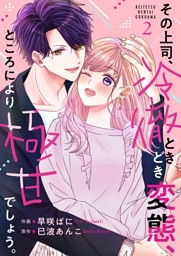 その上司、冷徹ときどき変態、ところにより極甘でしょう。 2