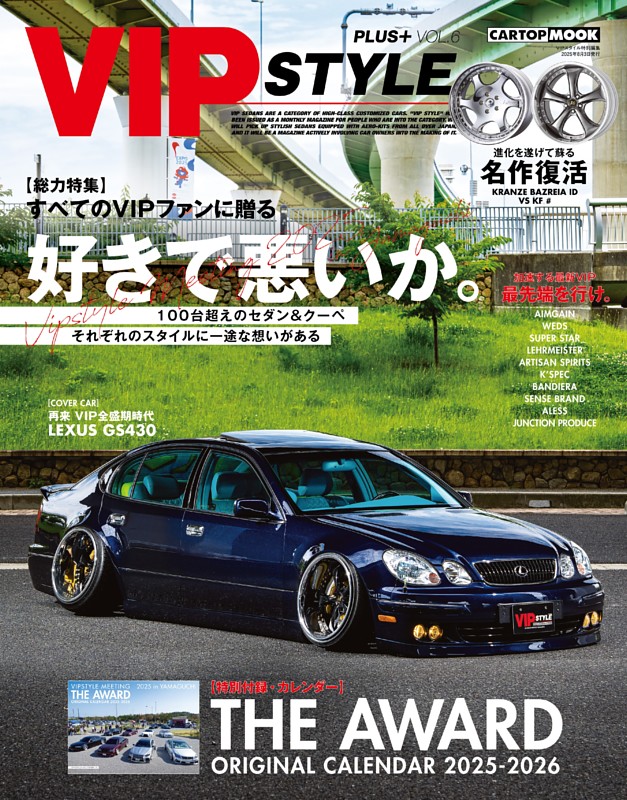 VIP STYLE PLUS VOL.6