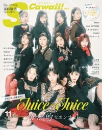 S Cawaii! 2026年11月号増刊 特別版