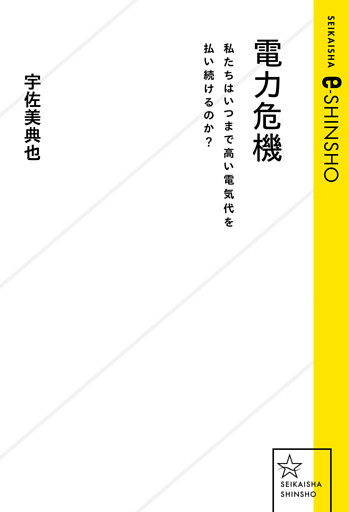 電力危機　私たちはいつまで高い電気代を払い続けるのか？