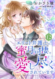 エリート弁護士に蜜月同棲で愛し尽くされています【分冊版】12話