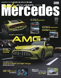only Mercedes vol.229