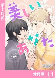 美しいあなた【分冊版】14（ビアンココミックス）