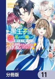 黒王子は私にだけ厳しい？【分冊版】　11