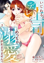 いじわる上司がデレたら、めっちゃ溺愛が止まりませんっ　鬼編集長が御曹司で私に結婚志願中！？（2）