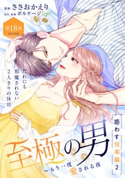 至極の男～もう一度愛される夜［ｃｏｍｉｃ　ｔｉｎｔ］　分冊版（１８）