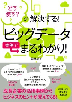 どう使う？　が解決する！　ビッグデータ実例でまるわかり！（TAC出版）