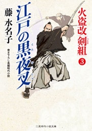 江戸の黒夜叉　火盗改「剣組」３