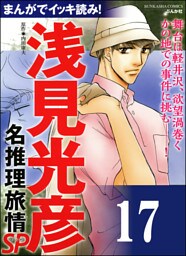 浅見光彦ミステリーSP（分冊版）　【第17話】