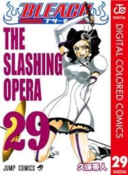 BLEACH カラー版 29