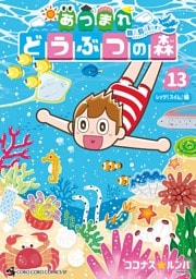 あつまれ どうぶつの森 ～無人島Ｄｉａｒｙ～（１３）