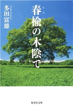 春楡の木陰で