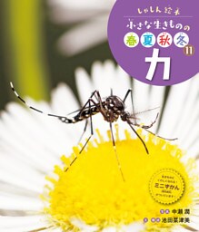カ１１　しゃしん絵本　小さな生きものの春夏秋冬