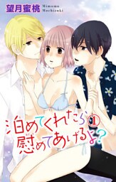 泊めてくれたら慰めてあげるよ？ 1