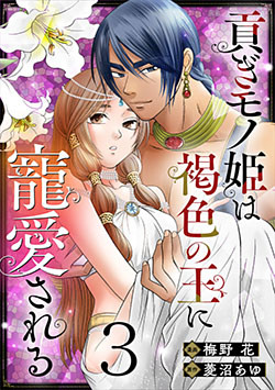 貢ぎモノ姫は褐色の王に寵愛される 3巻