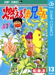 燃える！お兄さん 13